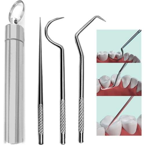 3PCS/Set Stainless Steel Toothpick Multifunctional Fruit Fork Household Tooth Extractor Tooth Cleaning Tools with Holder