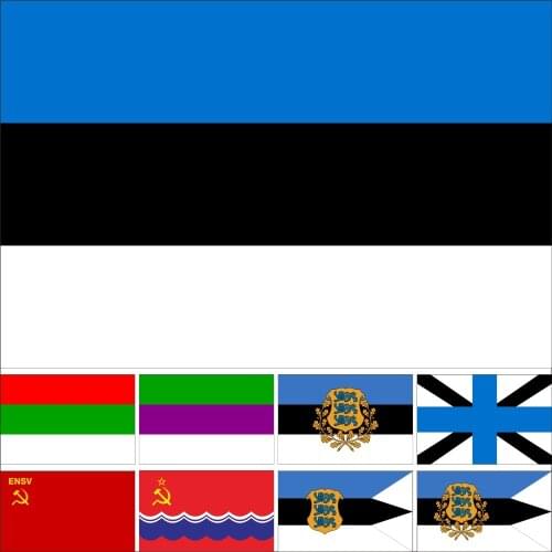Estonia Presidential History Flag 90X150cm (3x5FT) 120g 100D High Quality Banner