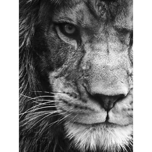 5D DIY Diamond Painting Lion Cross Stitch Animal Series Black and White Full Square Round Drill Embroidery Rhinestone Crafts