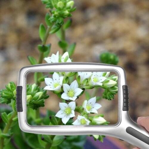 Rectangular Hand Held Lighted Magnifying Glass 3X/10X Anti- for Repair