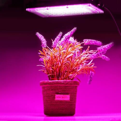 HUAN JUN SHI Phytolamps For Plants