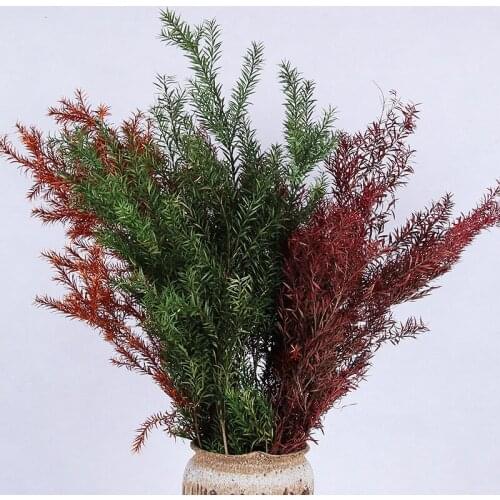 Natural Fresh Preserved Eternelle Flower Leaves for Wedding Party Home Living room Decoration Accessories