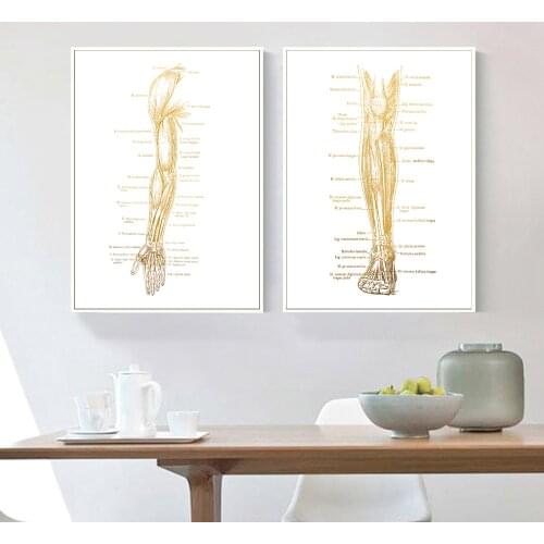 Hands legs Physical Therapy Anatomy Art Foil Print Canvas Painting Nordic Posters And Prints Wall Pictures For Living Room