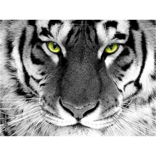 Black White Tiger DIY Diamond Painting Cross Stitch 5D Full Drill Mosaic Animal Embroidery Cross Stitch Home Room Decor Gift