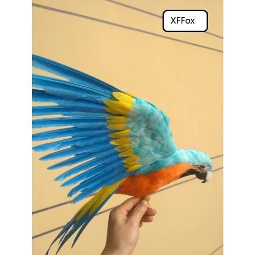 Big real life light blue&orange parrot model foam&feather simulation wings parrot bird gift about 45x60cm xf0238