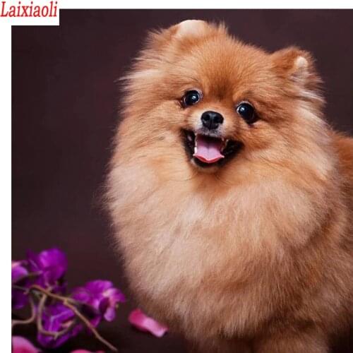Pomeranian Diamond Painting dog DIY Diamond Embroidery 5D square Round Mosaic full Pictures by numbers Rhinestones decor