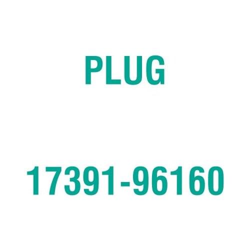 For Kubota 17391-96160 PLUG