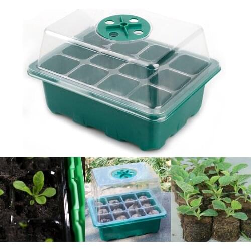 Plant Growing Trays Seedling Propagation Kit Mini Greenhouse 12 Hole/6 Hole Easy To Use PP Humidity Vented Domes Planting Pot