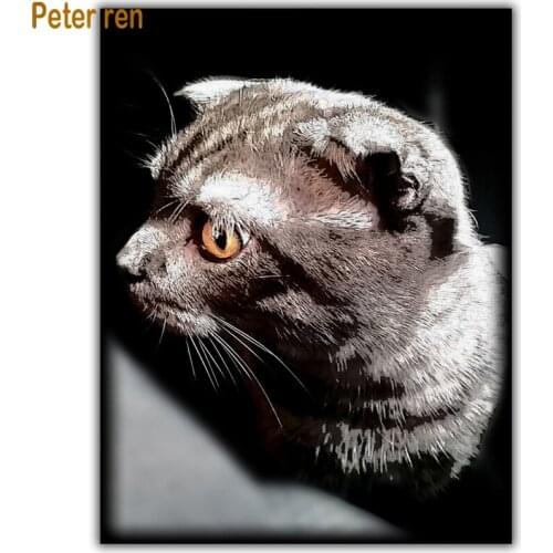 Peter ren Diy Diamond painting cat cross stitch Animal 5d Square\Round Diamond mosaic Rhinestones Full Diamond embroidery kitten