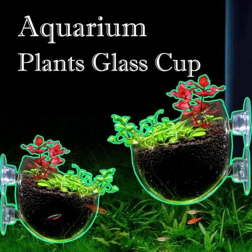 Senzeal 2X High Quality Crystal Glass for Aquarium Fish Tank Aquarium Plant Cup Pot with 4X Suction Cups Aquascape Decoration