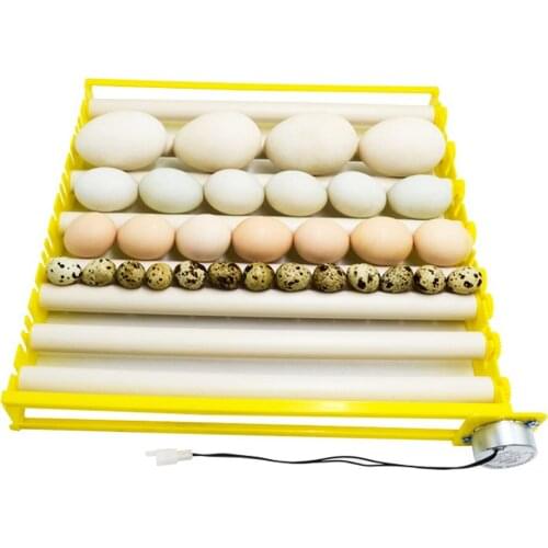 Household Tray Eggs Roller Turner Full Automatic Incubator Multifunction 42-Egg Brooder 360 Degree Rotary Incubation Tool