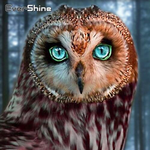 EverShine Diamond Painting Owl Full Square Cross Stitch Diamond Embroidery Animals Bead Picture Kits Handwork Hobby Wall Decor