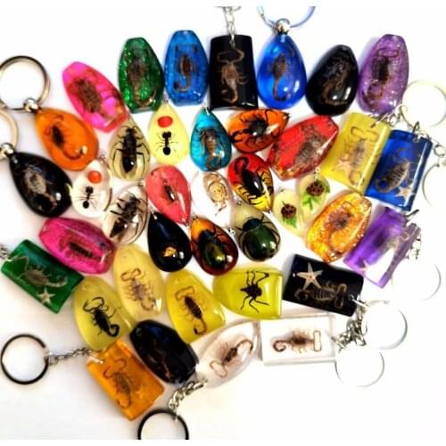 40 pcs fashion real scorpion ant star fish mixed style keychain