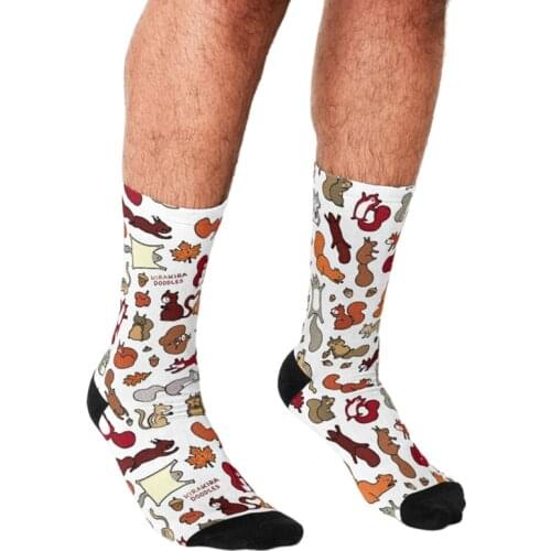 Funny Men socks Squirrels in Fall Doodle Printed hip hop Men Happy Socks cute boys street style Crazy novelty Socks for men
