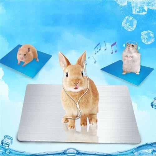 Summer Ice Cushion Aluminum Alloy Heat Dissipation Mat Pet Cage Ornament For Rabbit Hamster Chinchillas Guinea Pig Small Pets