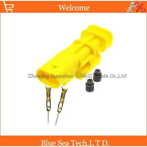 2 Pin male auto new crash sensor plug,injector plug,car harness plug connector for Audi,VW
