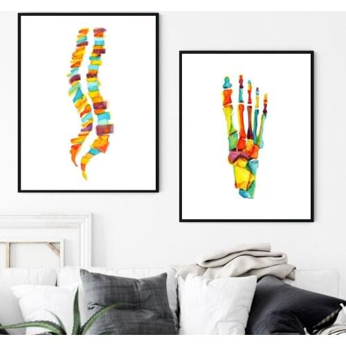 Watercolor Bones of the Foot Poster HUMAN Anatomy Spine Column Poster and Print Canvas Painting HD Wall Art for Room Home Decor