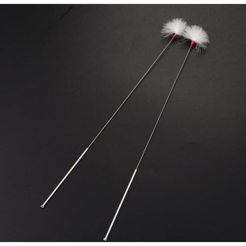 2pcs Ear Wax Cleaning Tools Professional Earwax Remover Goose Feather Ear Cleaner Set