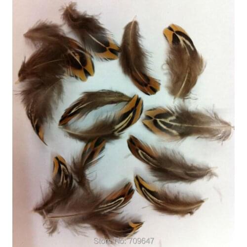 200Pcs/Lot,4-7CM Small Feathers,Pointed Ringneck Pheasant Plumage Feathers,Loose Craft Feathers ,plumas para manualidades