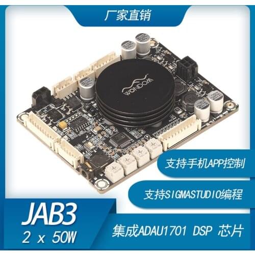 2 x 50W Class D audio power amplifier with DSP electronic frequency divider, support Sigmastudio programming