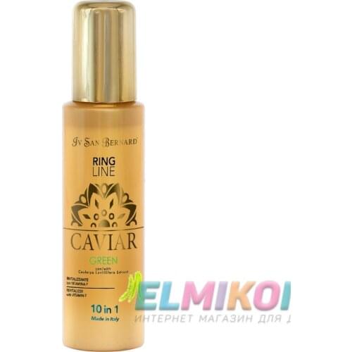 IV SAN BERNARD Cat Grooming