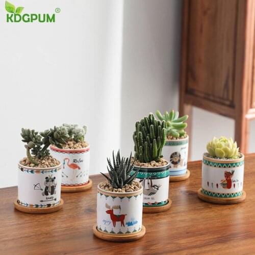 Cartoon Animals Succulent Ceramics Plant Flower Pot Classic Round Shape Planter Cactus Vase Home Garden Office Desktop Decor