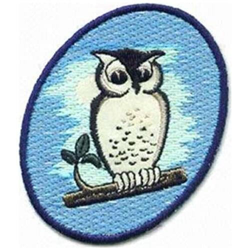 Wholesale Clothing Patches/Owl Patch Made by Twill with Merrow Broder and PVC On Backing MOQ50pcs free shipping by Post