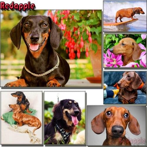 Diamond Painting Animal Dachshund Dog 5d Diy Mosaic Full Square Round Drill Diamant Sausage dog Daimond Embroidery hobby puzzle