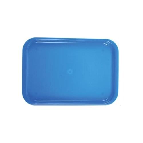 10pcs Dental Instrument autoclavable plastic trays Mini falt Blue for dentist clinic