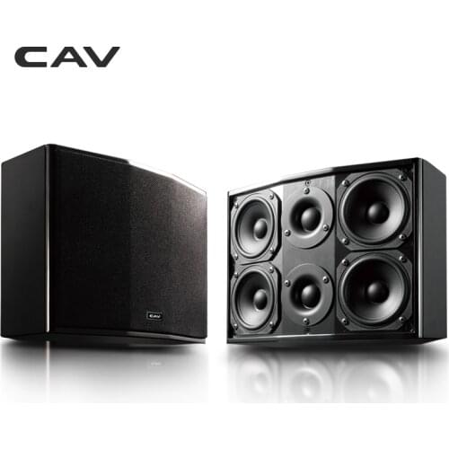 CAV DL-3 Wall-Mounted Speaker Scan-Speak HIFI Full Frequency Speaker Unit TV Speakers High Fidelity Surround Home Theater System