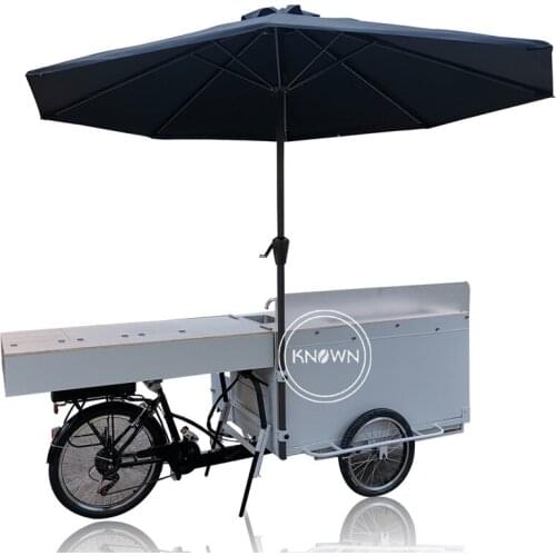 Street Folding Pedal Bike Electric Bicycle with Freezer Displays Stand Refrigerator Customized Tricycle Adult Food Cart