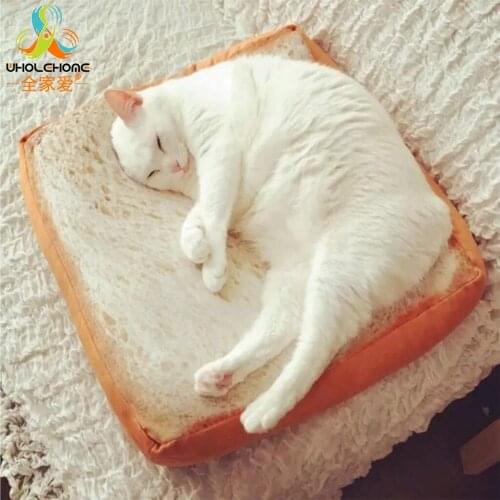 Wholehome Decorative Pillows