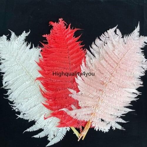 10pcs/bundle 50-70cm Preserved Fern Flower For Craft Gift Material Accessory Decoration Flower Arranging DIY