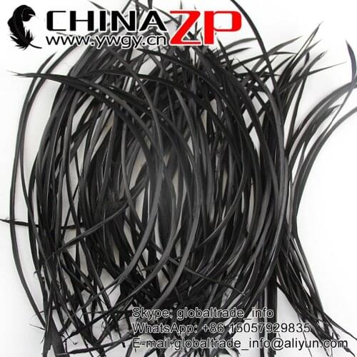 Gold Retail from CHINAZP Factory 100pieces/lot 8-10inch Best Quality Dyed Black Goose Boits Feathers Headdress Carnival