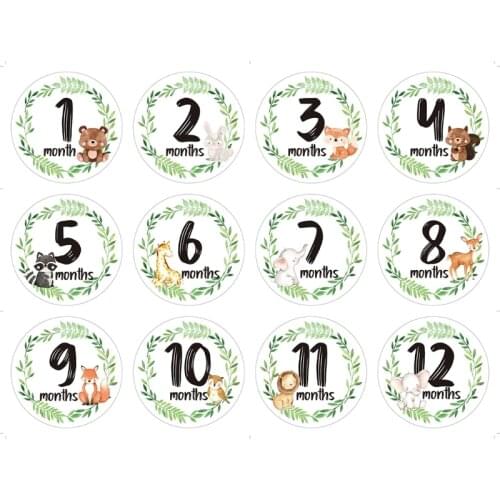 12 Pcs/Set Newborn Milestone Memorial Month Stickers Floral Baby Monthly Stickers Photography Commemorative Card