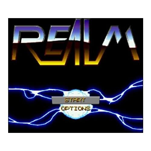 Realm NTSC Version 16 Bit 46 Pin Big Gray Game Card For USA Game Players