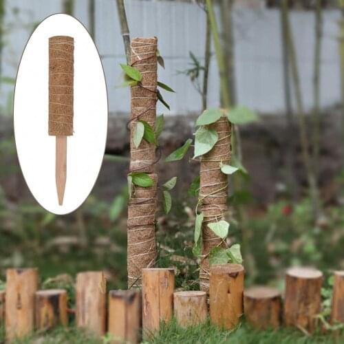Plant Climbing Coconut Totem Rod 50cm/40cm/30cm /set Connectable Garden Support Stick Plant Flower Holders