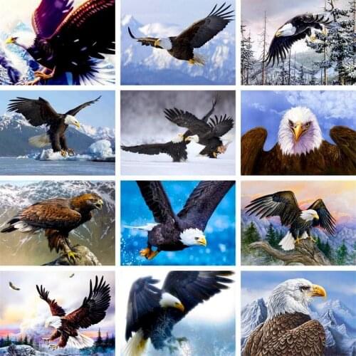 GATYZTORY 60x75cm DIY Painting By Numbers Eagle Picture Coloring Animal HandPainted Oil Painting Unique Gift Home Decor