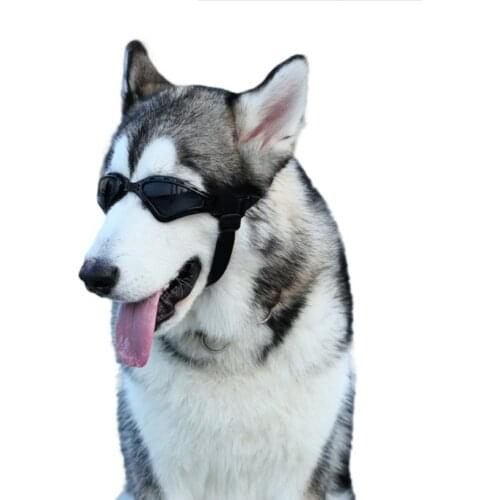Pet accessories dog Sunglasses Goggles foldable wind and Sun Protection Goggles medium and large dog glasses