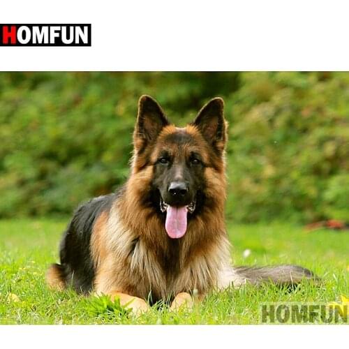HOMFUN Full Square/Round Drill 5D DIY Diamond Painting "Animal dog" Embroidery Cross Stitch 3D Home Decor Gift A11836