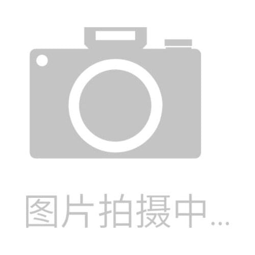 BZM2-XTVD 171034 BZM2 manual operation mechanism