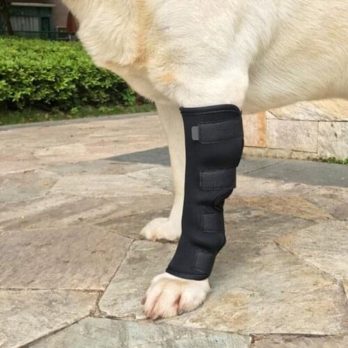 1 PCS Dog Brace Straps Protection For Leg Hock Joint Wrap Breathable Injury Recover Legs Pet Knee Pads Dog medical supplies