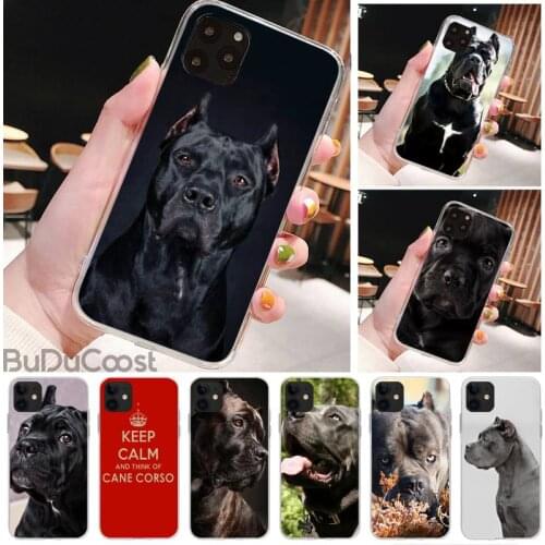 Riccu Cane Corso dog Phone Case For iPhone 11 12 pro XS MAX 8 7 6 6S Plus X 5S SE 2020 XR cover