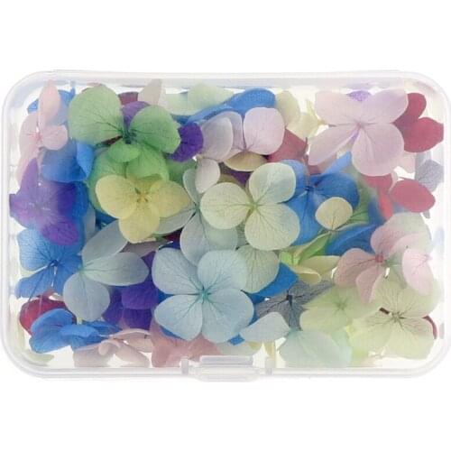 Colorful 100Pcs Real Dried Pressed Flower Petals Pressed Flowers for Art DIY Nail Pendant Craft Making Art Floral Decors