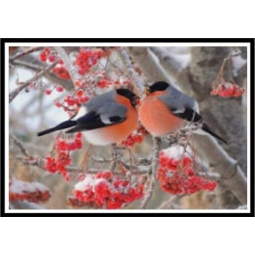 5D diamond painting two birds cartoon round diamond mosaic home decoration pattern DIY handmade embroidery Christmas gift