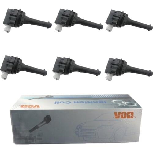 6ps Auto Ignition Coil for Volvo C30 2.4L 2.5T C70 S40 S60 T5 S60L S80L V40 Cross Country T5 V50 V60 T5 XC60 T5 XC60 T6 30713417
