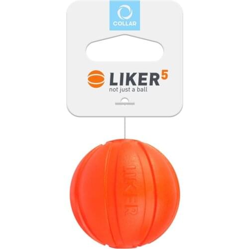 Товары для собак COLLAR China At AliExpress