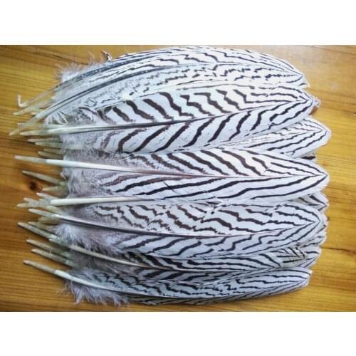 Wholesale 50pcs high quality Vortex Silver chicken feathers 15-22cm/6-9inch Decoration Scarce Collect diy