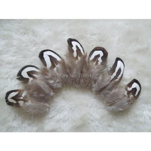 500pcs/lot! 3-4cm long Small BLACK&WHITE REEVES PHEASANT FEATHERS PLUMAGE Feathers,Nature Cheap Reeves Pheasant Feathers