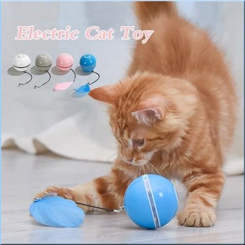 Karmasfar Toys For Cats